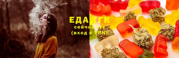 индика Волоколамск
