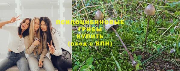 индика Волоколамск