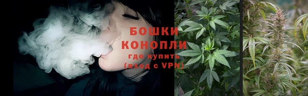 индика Волоколамск