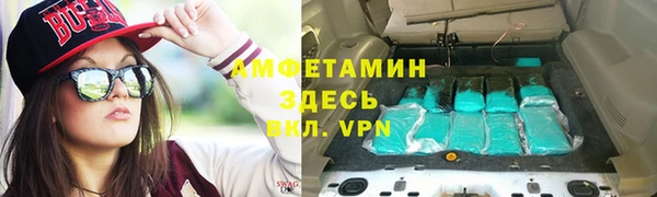 индика Волоколамск