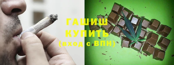 молекула духа Вяземский