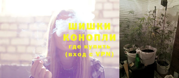 индика Волоколамск