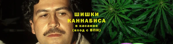 молекула духа Вяземский
