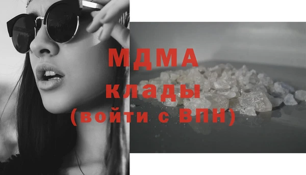 индика Волоколамск