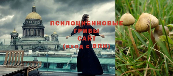 герыч Вязьма