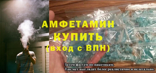 молекула духа Вяземский