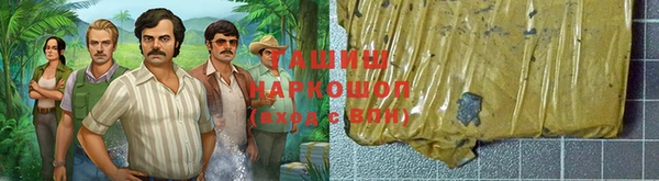 индика Волоколамск