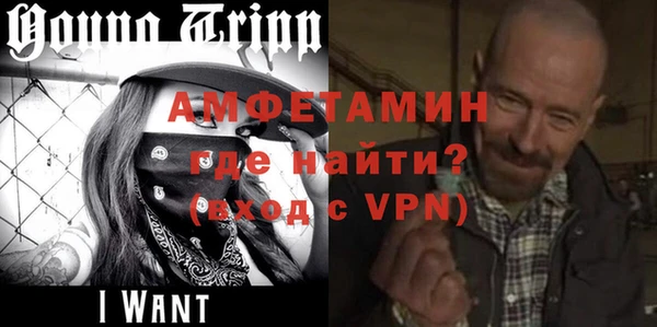 индика Волоколамск