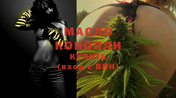 молекула духа Вяземский